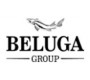 Beluga Group